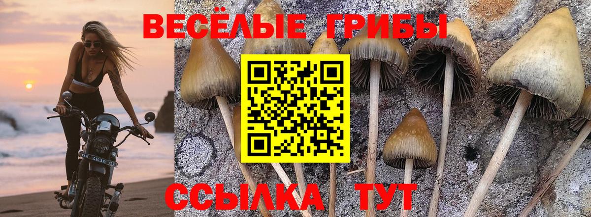 Галлюциногенные грибы Magic Shrooms Новоалтайск